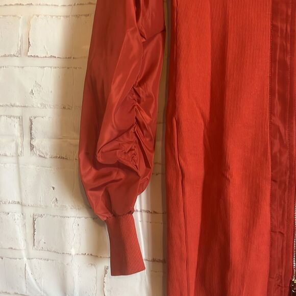 Mad for Love Long Sleeve Double Zipper Pencil Dress in the color Rust size Small - Picture 3 of 13